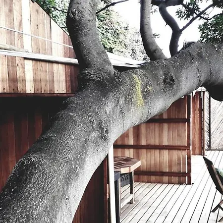 Scarborough Nature Lodge Cape Town Exterior photo