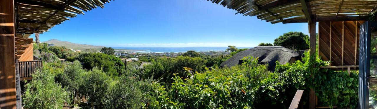 Scarborough Nature Cape Town