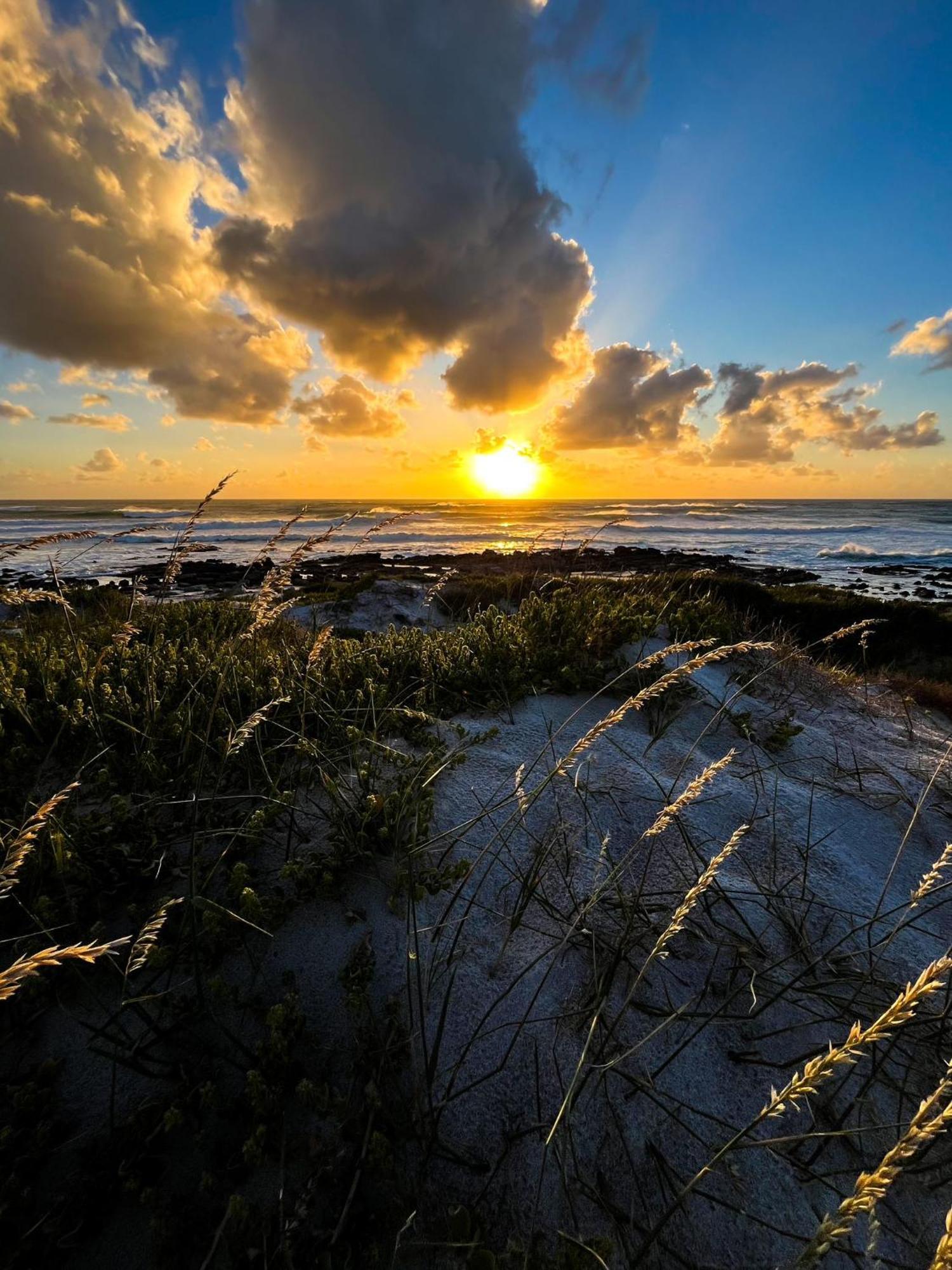 Scarborough Nature Cape Town