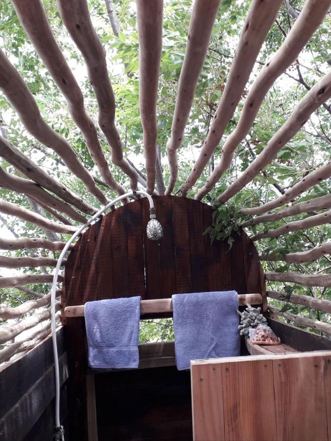 Lodge Scarborough Nature *